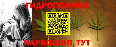 молекула духа Гай